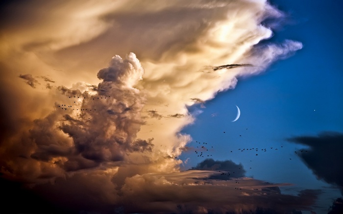 Birds flying past dramatic clouds with a crescent moon