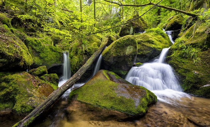 Mossy rocks and waterfalls in Gertelbach, Germany