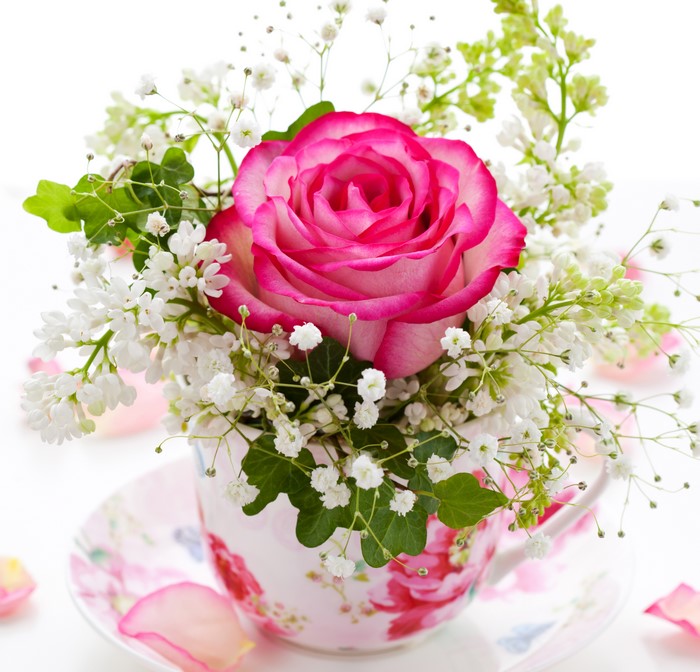 Pink Rose in a Floral Teacup