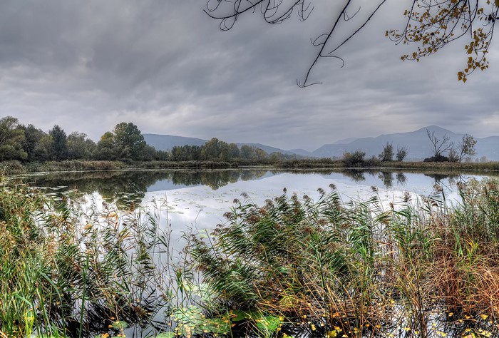 Lake with reeds and distant mountains under cloudy sky