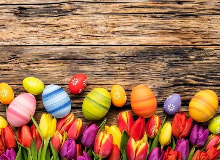 Easter Eggs and Tulips on Wooden Background
