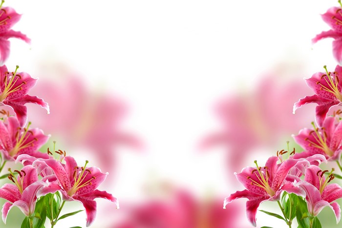 Pink Lilies Greeting Card Template 4K