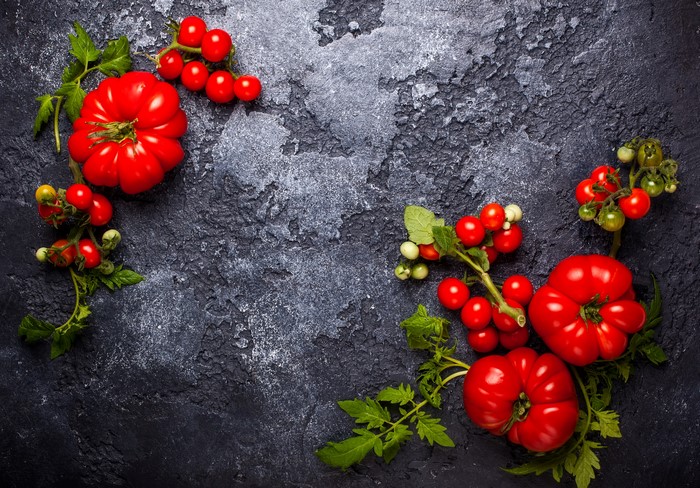Tomatoes on branches
