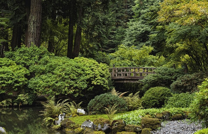Japanese Garden with Wooden Bridge and Pond