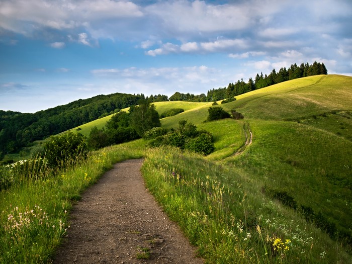 Trail through rolling green hills and forests in Schelingen, Germany