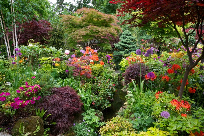 Walsall Garden with Rhododendrons and Shrubs in England