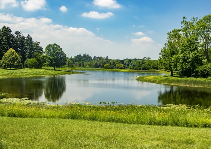 Lake and trees at Morton Arboretum in Northern Illinois