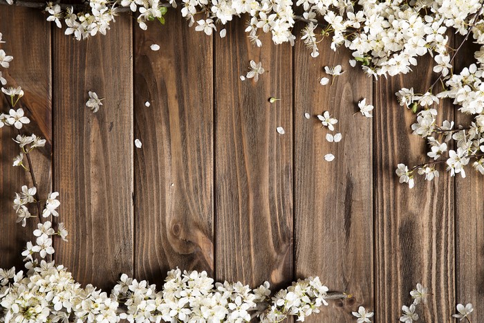 White Cherry Blossoms on Wooden Planks