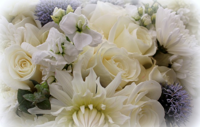 White Roses and Dahlias Bouquet with Thistle