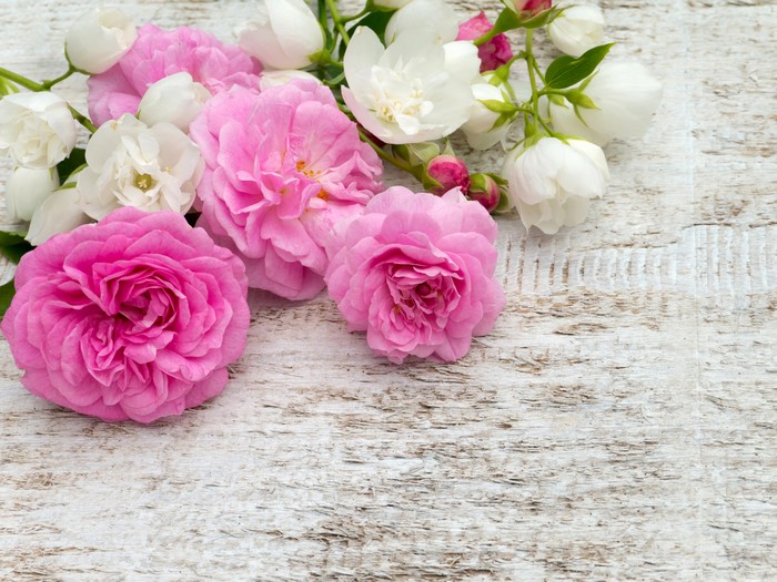 Pink and white roses on a wooden surface