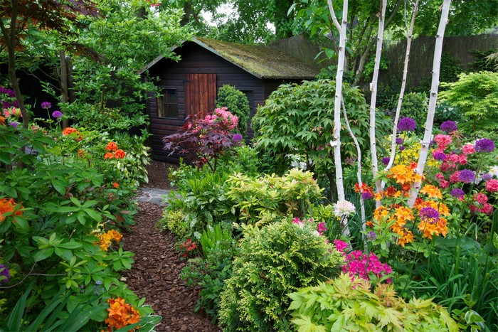 A lush garden with a wooden shed and colorful flowers