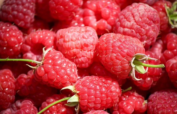 Close-up of fresh red raspberries