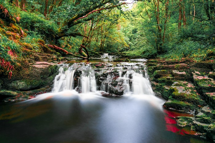 Waterfall in a Forest in Brecon Beacons, Wales