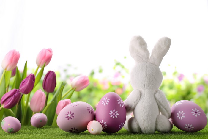 Easter Bunny with Tulips and Decorated Eggs