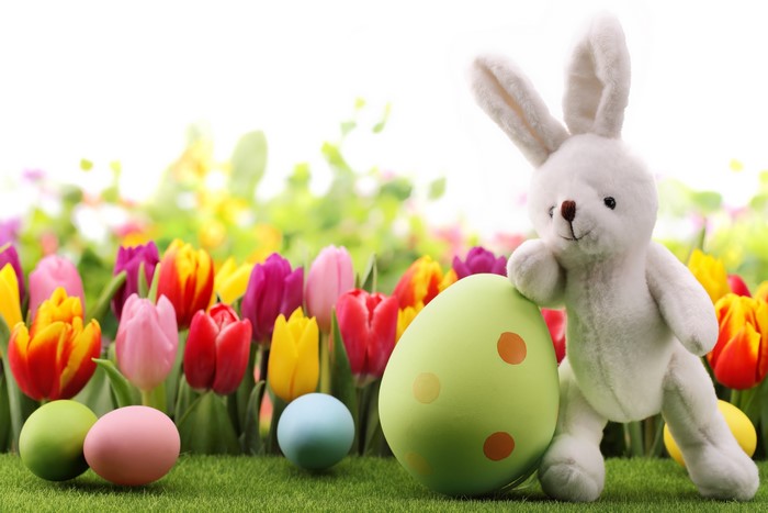 Easter Bunny with Tulips and Eggs