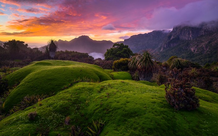 Mossy hills and mountains at sunrise in Tasmania, Australia