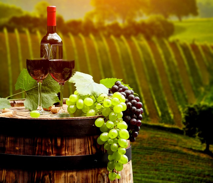 Wine bottle and glasses with grapes on barrel in vineyard