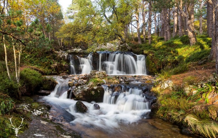 Waterfalls in a forest in Cairngorms, Scotland