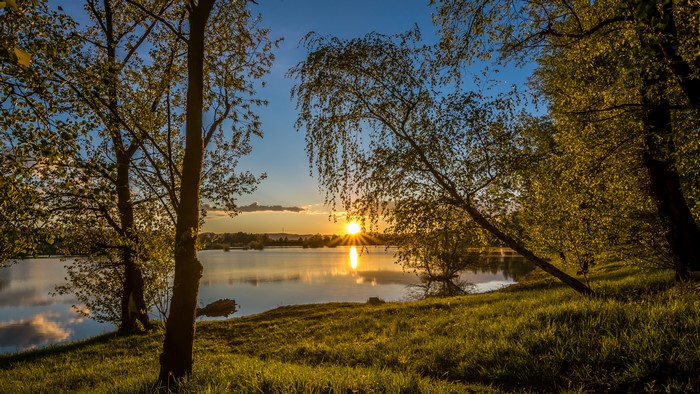 Lake at sunset with trees and grass