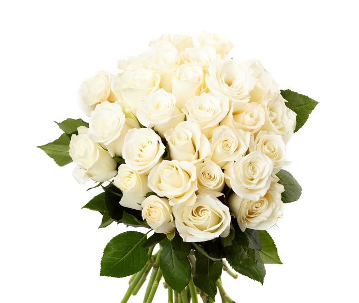 Bouquet of White Roses