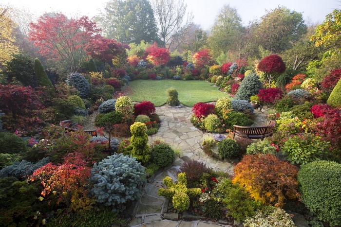 Autumn garden with colorful trees and shrubs in England