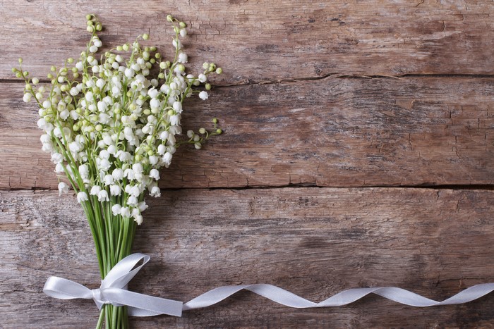 Bouquet of Lilies of the Valley with Ribbon on Wood