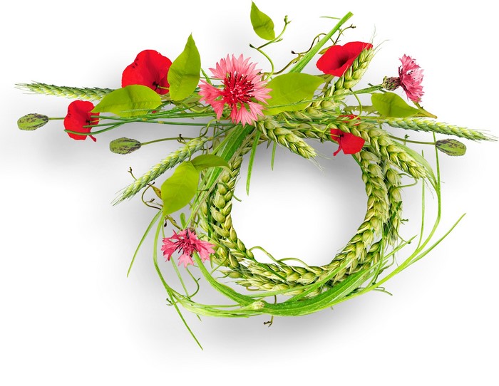 Wreath of poppies, cornflowers, and wheat ears
