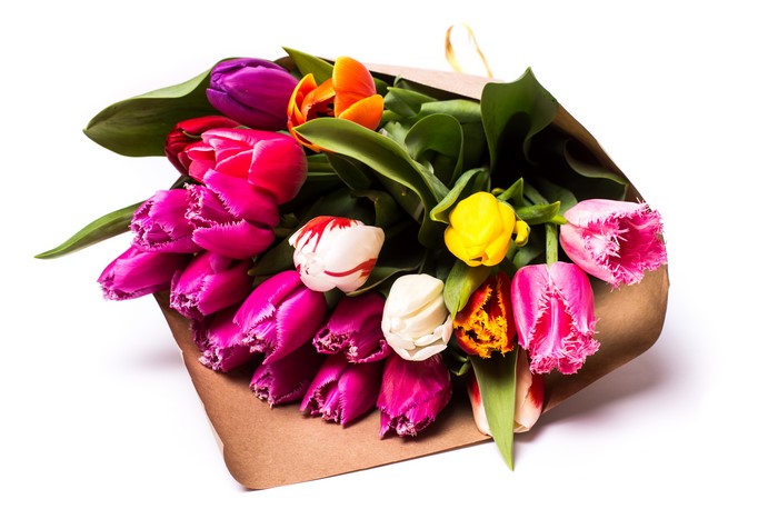 Bouquet of colorful tulips on a white background
