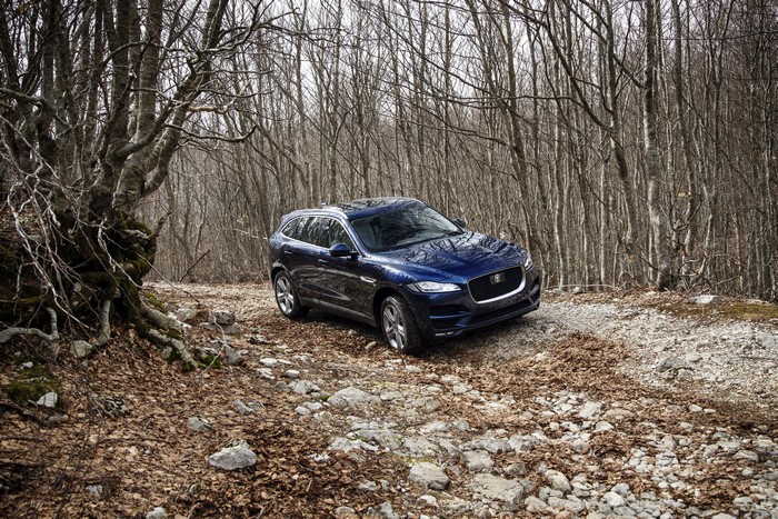 2016 Jaguar F-Pace Portfolio in forest