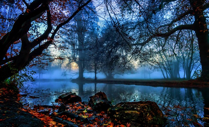 Morden Hall Park in London during Autumn with Fog