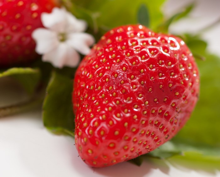Close-up of a ripe strawberry with a flower