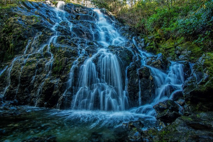 Waterfall cascading over mossy rocks in a forest