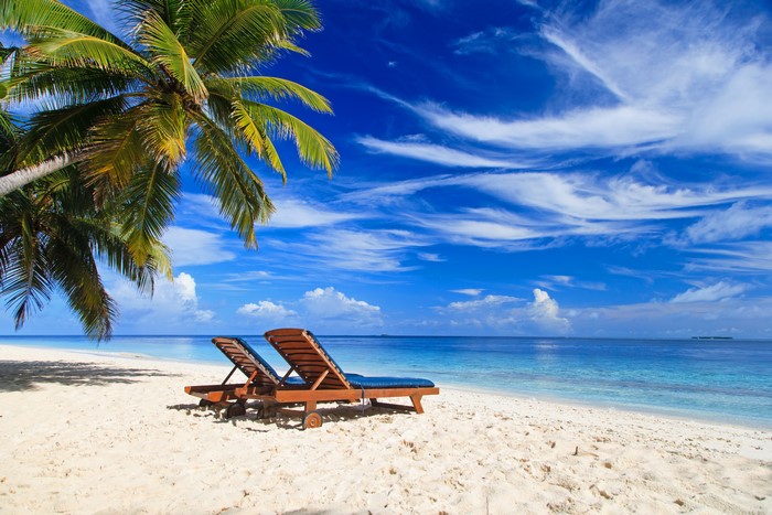 Tropical beach with palm trees and sun loungers