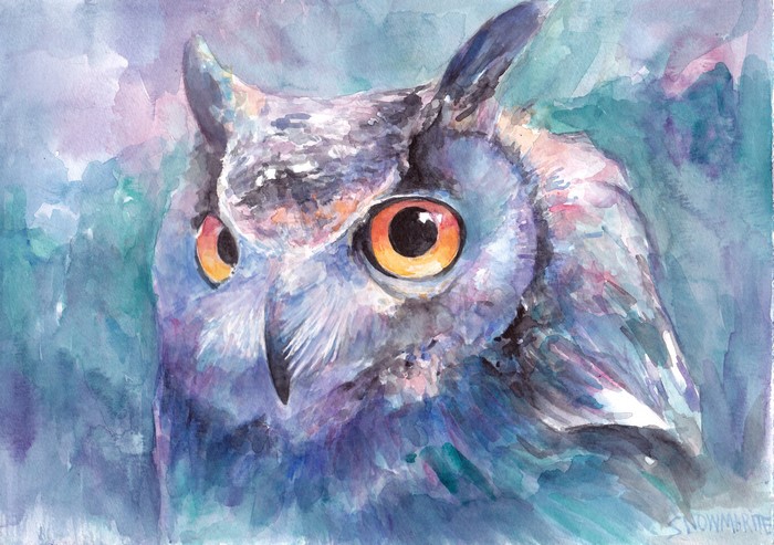 Watercolor painting of an owl's face
