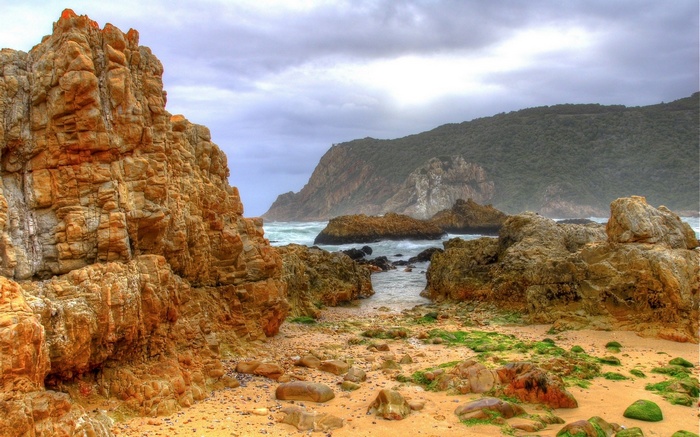 Rocky coastline with green algae and overcast sky