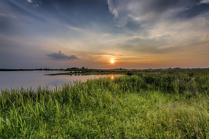 Sunset over a river with tall grass