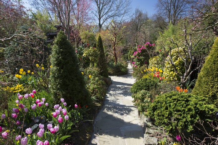 Walsall Garden in England with Tulips and Shrubs