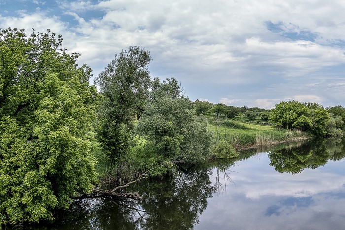 River and trees in Nedayvoda, Dnipropetrovsk Oblast, Ukraine