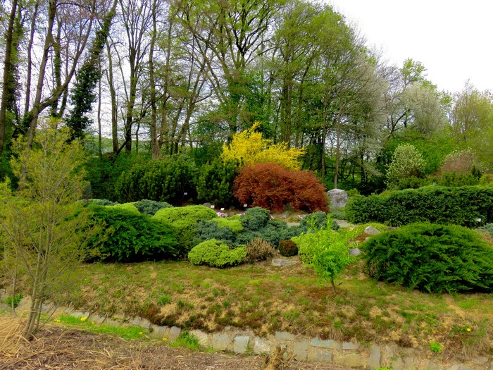 Park with various shrubs and trees in Slovenia