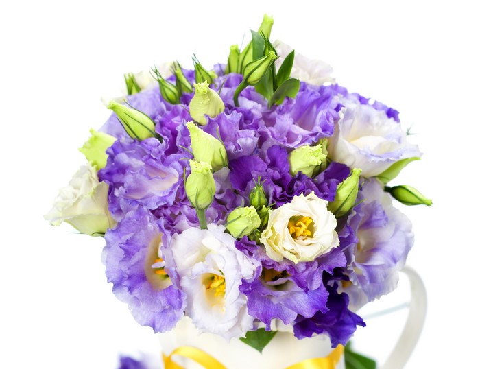 Bouquet of purple and white Eustoma flowers