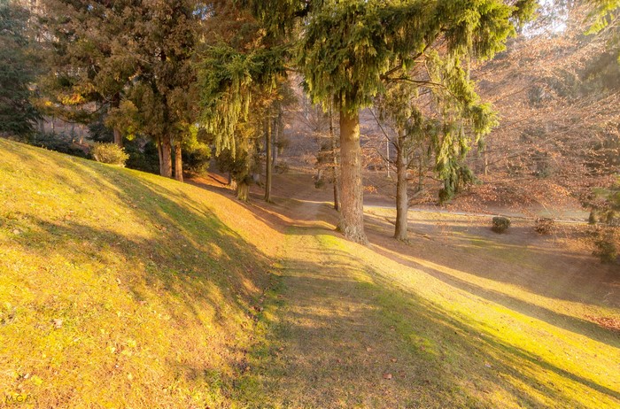 Path through a park in Kranj, Slovenia during autumn