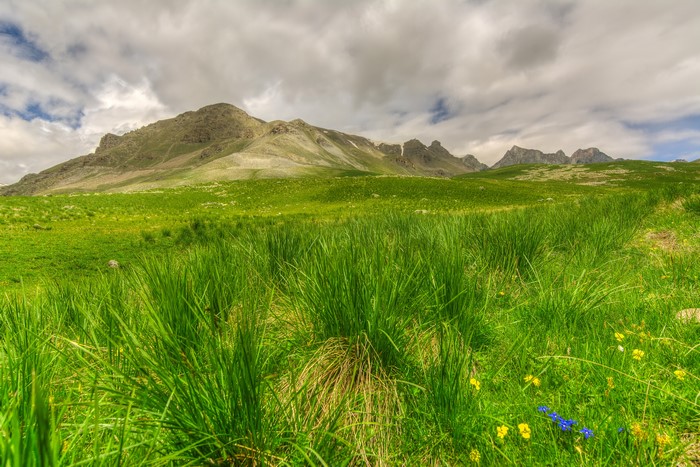 Green grassy meadow with mountains under cloudy sky