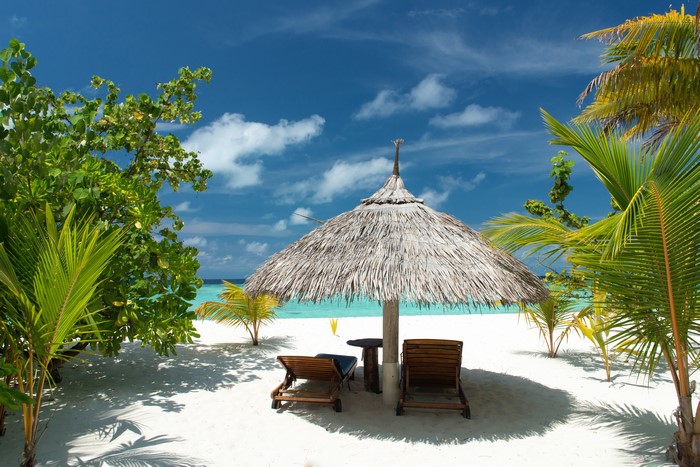 Tropical beach with sunloungers and umbrella