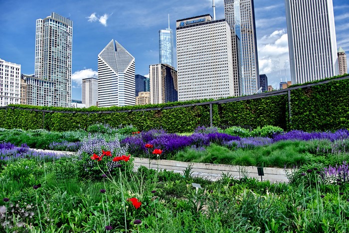 Chicago City Skyscrapers and Garden