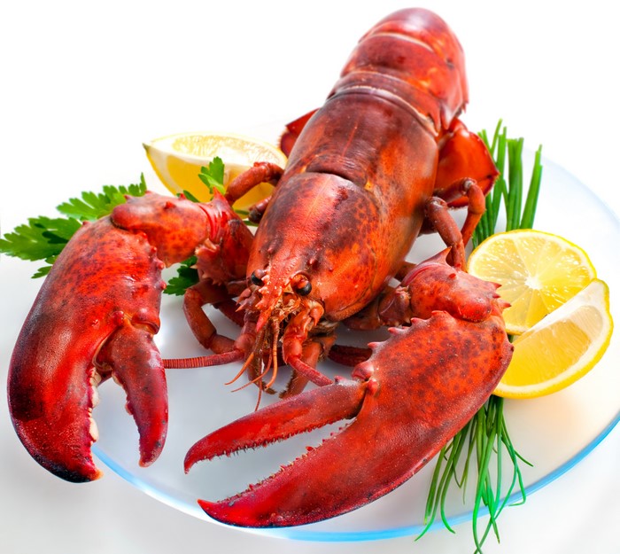 4K Lobster with Lemon and Parsley