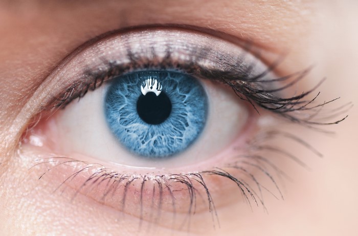 Extreme Close-up of a Blue Human Eye with Eyelashes