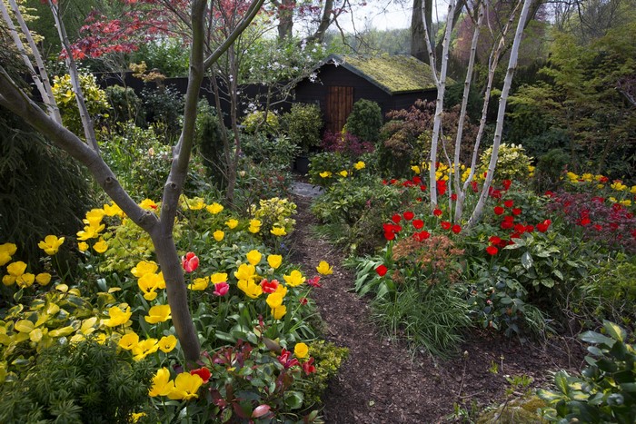 Walsall Garden in England with Tulips