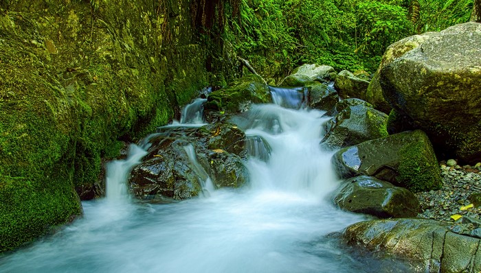 Waterfall flowing over moss-covered rocks in a forest