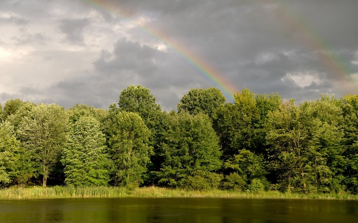 Rainbow over a forest and lake