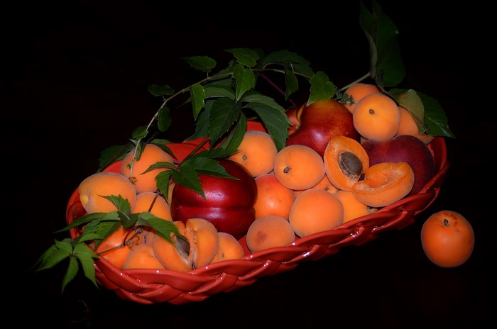 Apricots and nectarines in a red basket with foliage